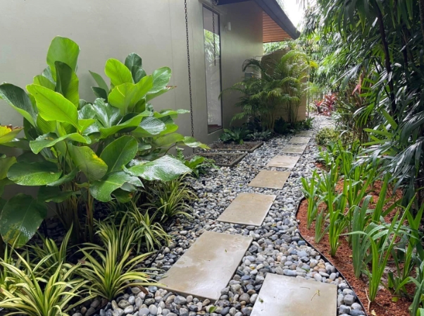 modern tropical garden design