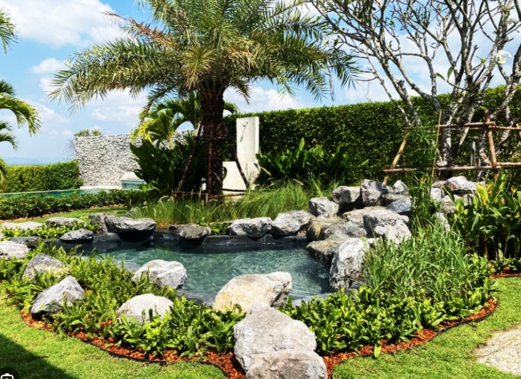 modern tropical landscaping