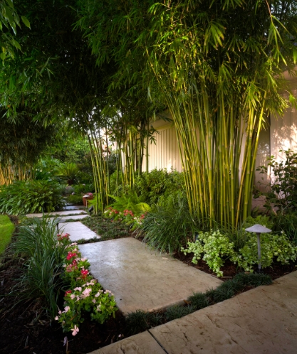 modern tropical landscape design