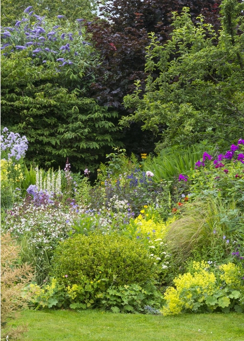 english garden ideas