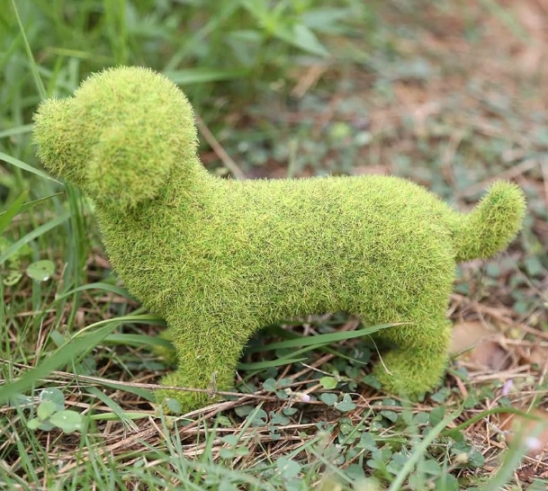 Dog Lawn DéCor