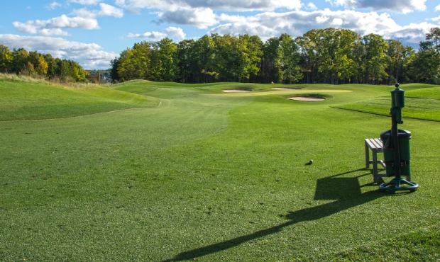 golf course landscaping