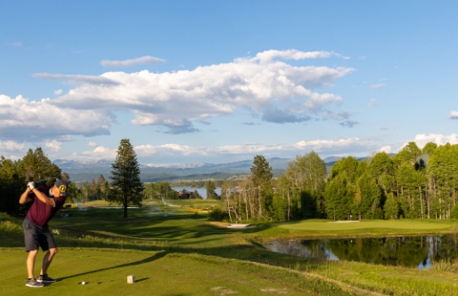 golf landscape