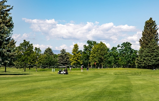 golf landscape