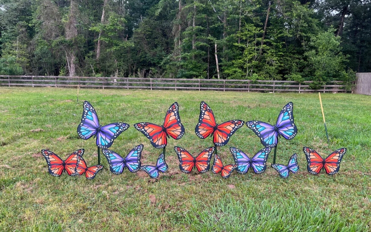 butterfly garden art